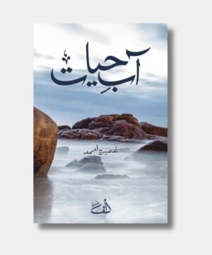 Aab e Hayat Umera Ahmed Best selling Novel