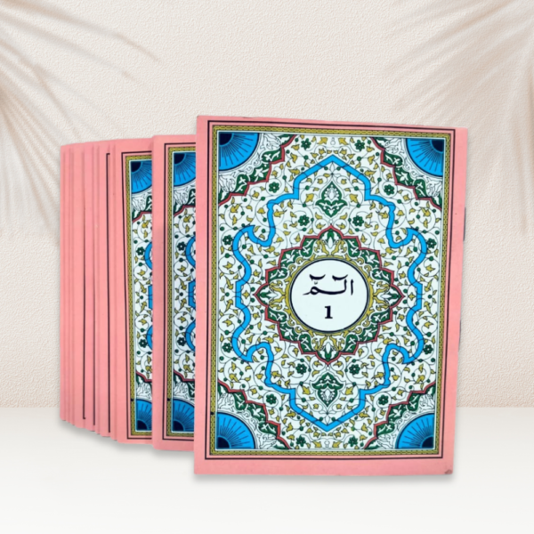 Quran 30 Para Set – Pink Color (Art Paper) with Pouch Bag