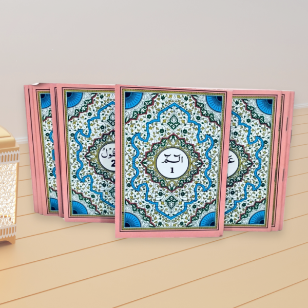 Quran 30 Para Set – Pink Color (Art Paper) with Pouch Bag