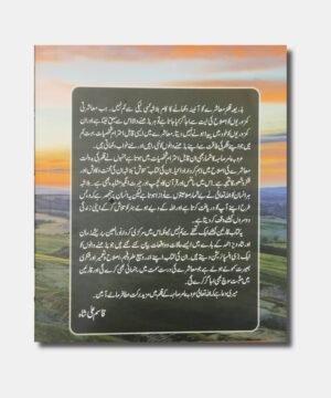 Talaash Novel by arooba amir