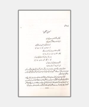 Talaash Novel by arooba amir