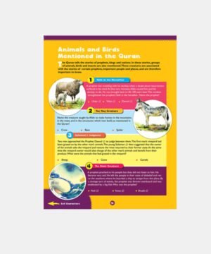 Awesome Quran Questions and Answers