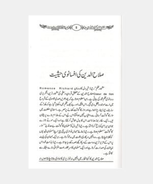 Sultan Salahuddin Ayyubi