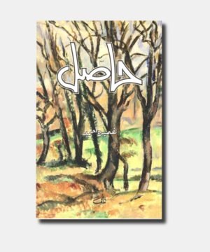 Hasil urdu novel by umera ahmed