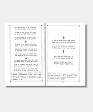 Diwan-E-Ghalib(Hindi Edition)