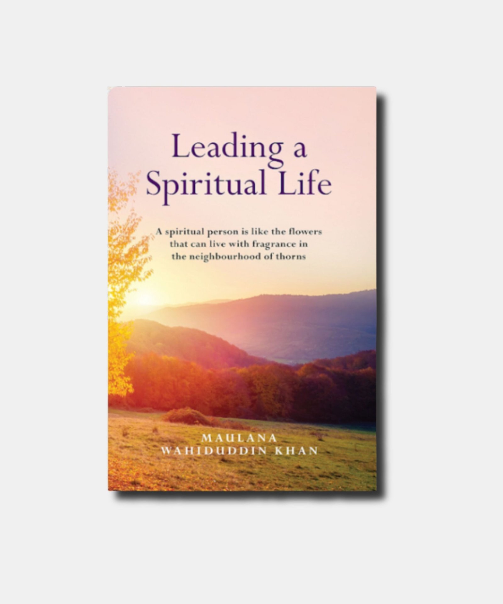 LEADING A SPIRITUAL LIFE LEADING A SPIRITUAL LIFE