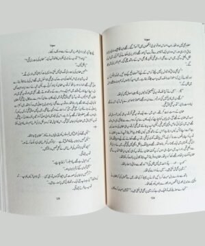 Sauda - A novel by Sumaira Hameed