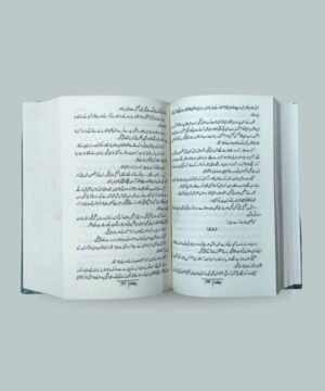 Bakht (بخت) Urdu novel by Mehrunnisa Shahmeer (complete set of Volume 1 and 2)