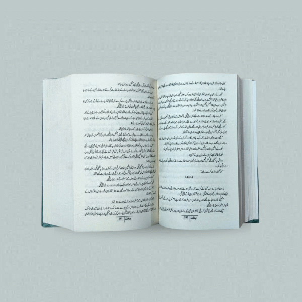 Bakht (بخت) Urdu novel by Mehrunnisa Shahmeer (complete set of Volume 1 and 2) - Image 3