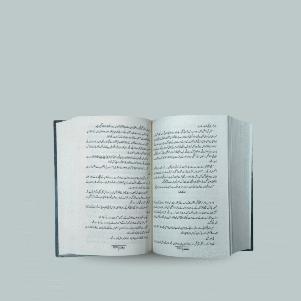 Bakht (بخت) Urdu novel by Mehrunnisa Shahmeer (complete set of Volume 1 and 2) - Image 4