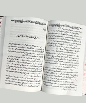 Mughalia Saltanat Ka Urooj Wa Zawal - (The Rise and Fall of Mughal Empire)