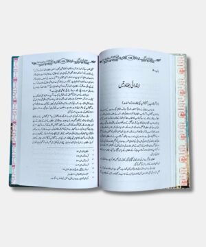 Sultan Muhammad Tughlaq