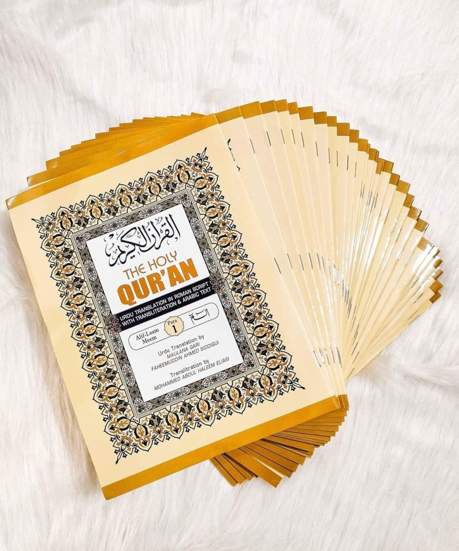 The Holy Quran Roman 2color 30 Para Set (Translation in Roman script) The Holy Quran Roman 2color 30 Para Set (Translation in Roman script)