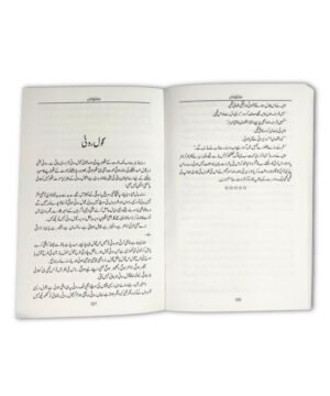 Saloni is a collection of short stories or humorous tales authored by Sarah Omer, originally written in Urdu. it as a compilation “full of humor and satire” (in Urdu)